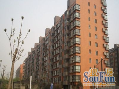 风林绿洲3室2厅2卫西南朝向14500.00元/月出租