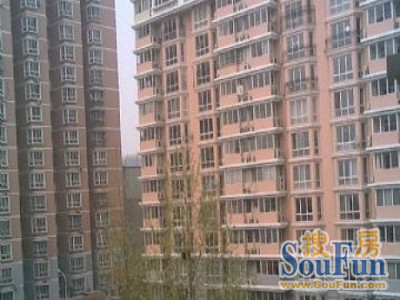 华馨公寓(安立路慧忠北里)外景图; 华馨公寓实景图;; 华馨公寓楼盘图