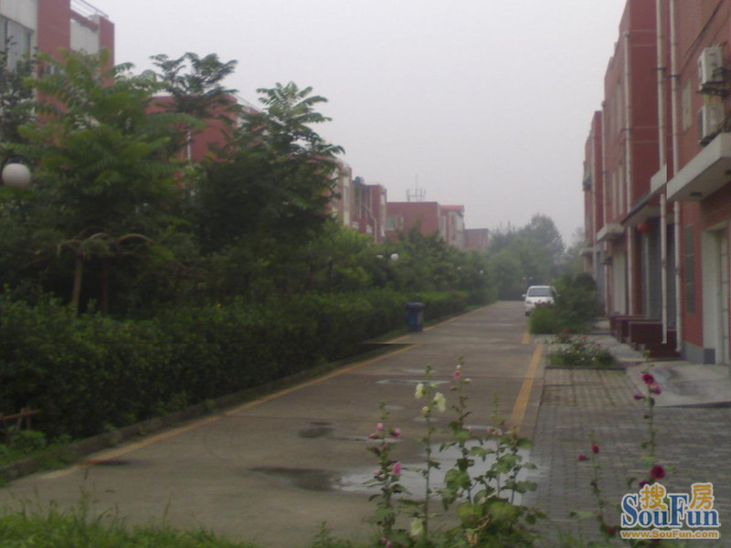 金华园小区道路