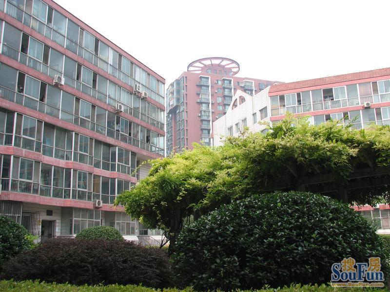 泰中花园1室1厅1卫东朝向3700.00元/月出租