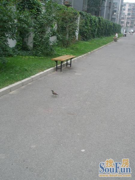 ����˼�С��