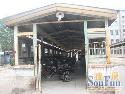 北新家园3室1厅1卫南北朝向5940.00元/月出租