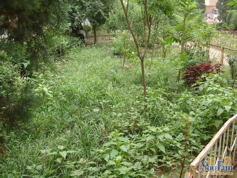 整租·五棵松·六建大院·2室