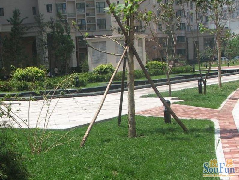 珠江罗马嘉园东区3室1厅2卫西南朝向9500.00元/月出租