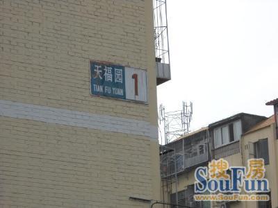 天福园2室1厅1卫南北朝向8300.00元/月出租