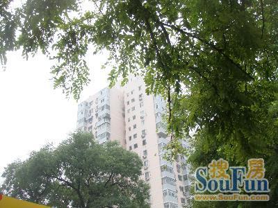 新文化街小区1室1厅1卫西南朝向7200.00元/月出租