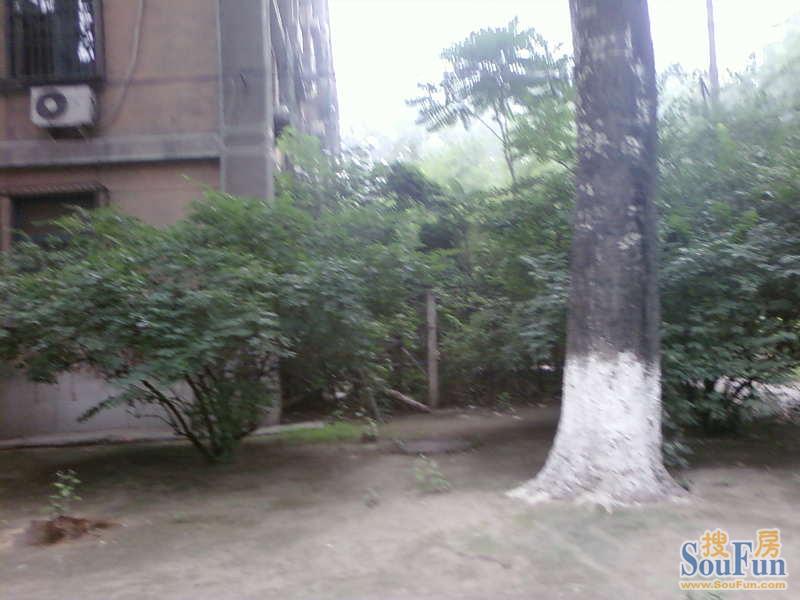 �йش山��סլС��С���̻�