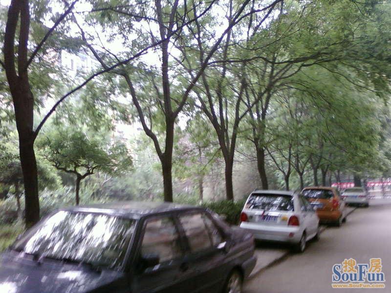 �йش山��סլС��С���ֵ�