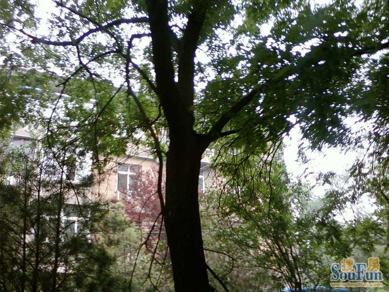 �йش山��סլС��С��ʵ��ͼ