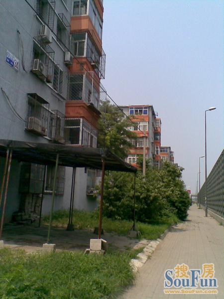 滨河东里2室1厅1卫南北朝向3000.00元/月出租
