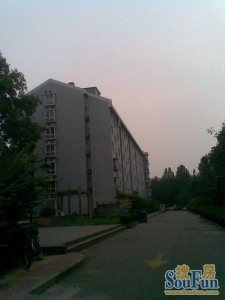 交东小区2室1厅1卫南北朝向13800.00元/月出租