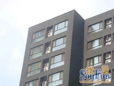 风格派1室1卫南朝向5800.00元/月出租