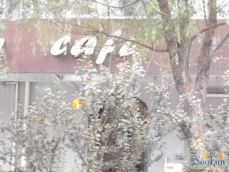�ǳ�����С���ܱ�
