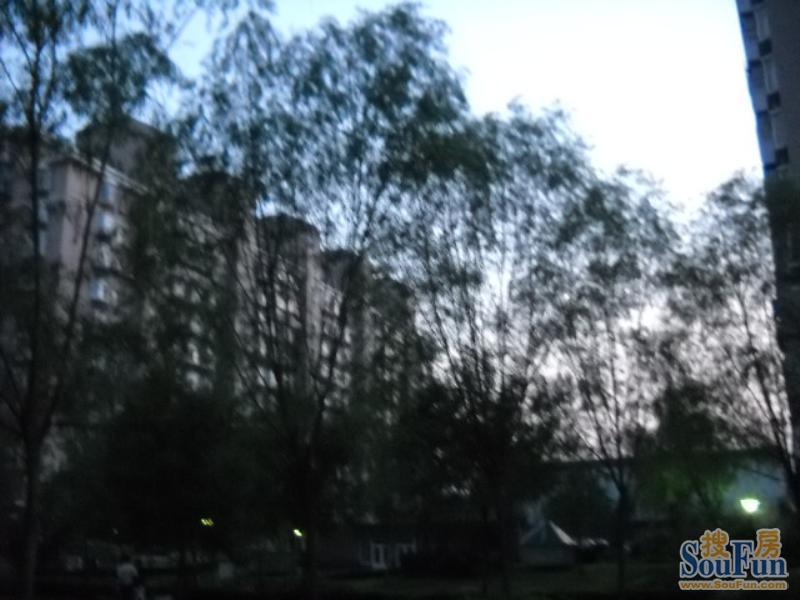 ����԰С��¥��ͼ