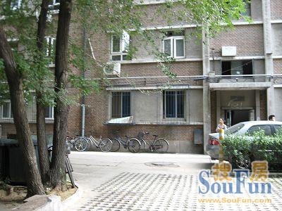 增光路小区2室1厅1卫南北朝向6300.00元/月出租