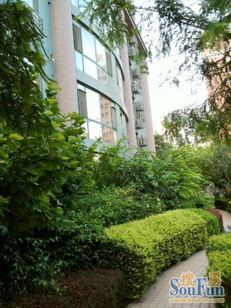 蝶翠华庭2室1厅1卫西北朝向9230.00元/月出租