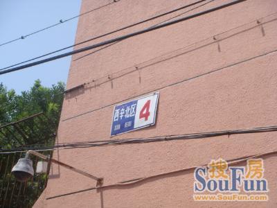 西辛北区2室1厅1卫南北朝向2800.00元/月出租