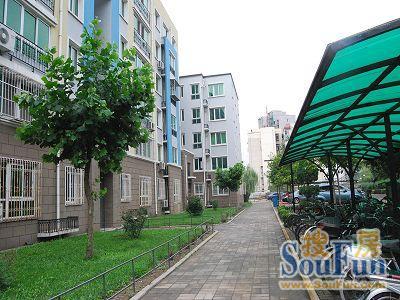 京艺天朗嘉园1室1厅1卫南朝向3000.00元/月出租