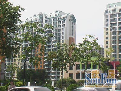 中海城圣朝菲