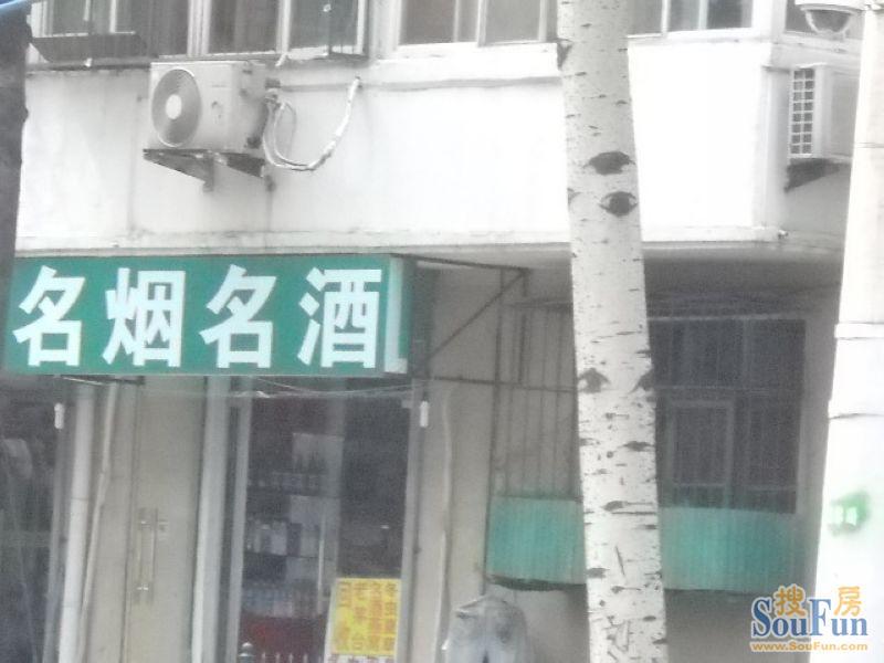�Ž���������̾Ƶ�