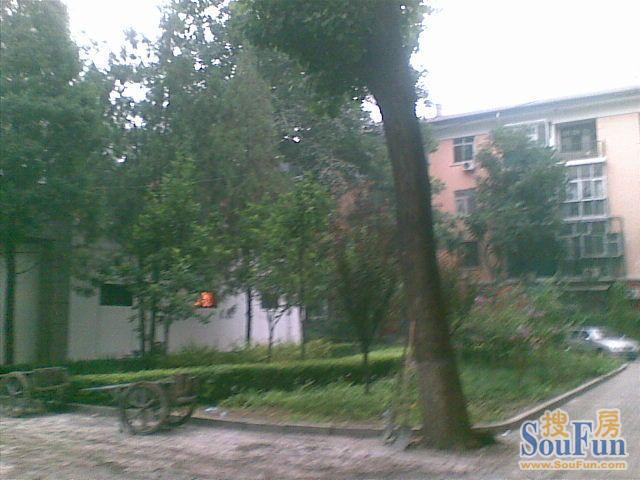 �����ͱ���סլ��С���̻�