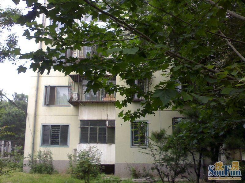 同兴园3室1厅1卫南北朝向4300.00元/月出租