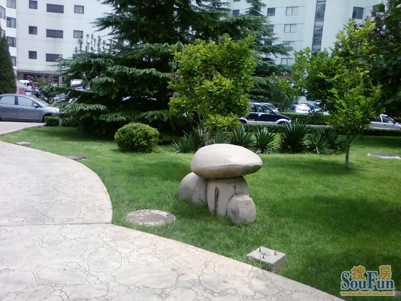 ������Ԣ������