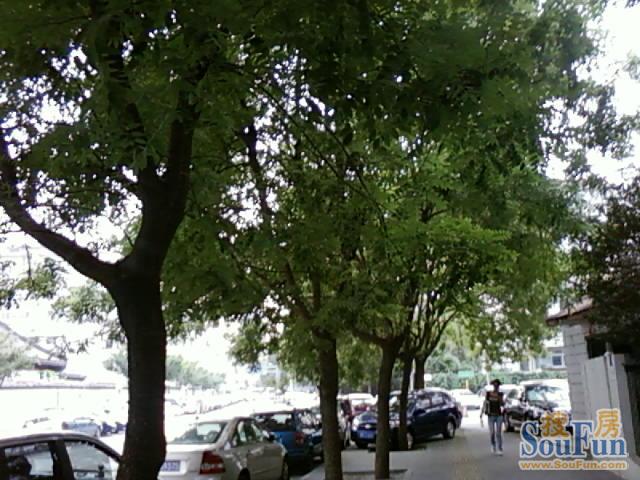 �о��ܵ�С���̻�