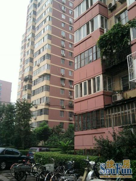 小马厂东里1室1厅1卫南朝向5500.00元/月出租
