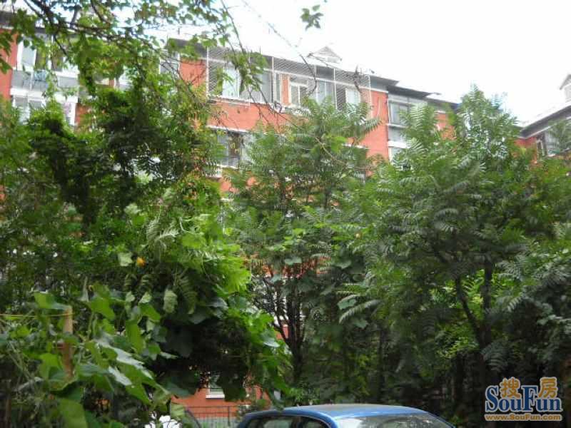 整租·翠微3号院 2室1厅 东/南/西