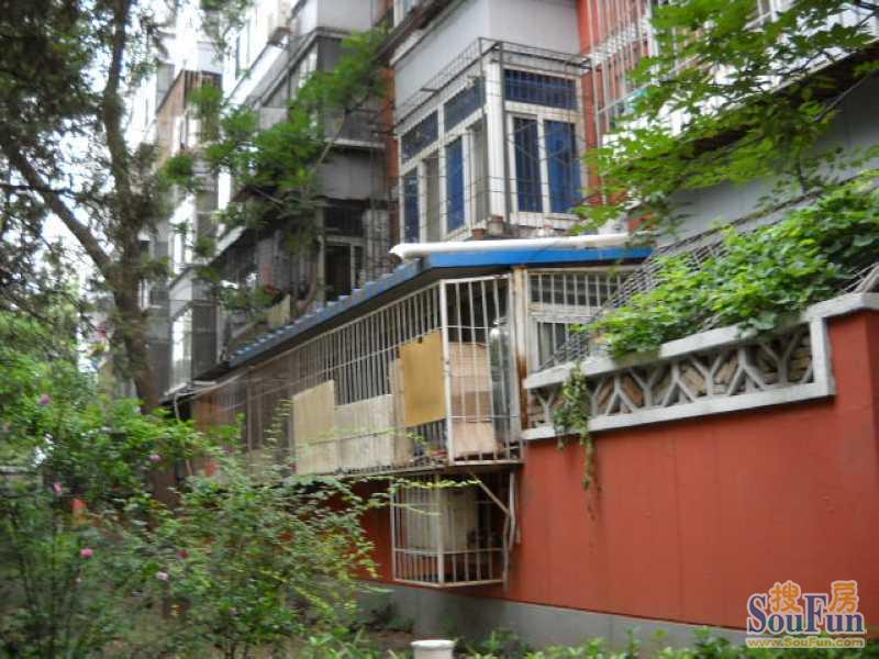 老师黑厚丝图片_性感黑丝老师_翘臀黑丝少妇老师 ...
