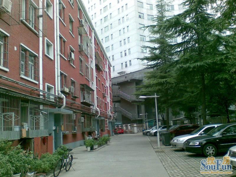 中建一局宿舍2室1厅1卫南朝向4000.00元/月出租