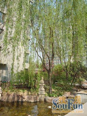 双花园南里二区2室1厅1卫东南朝向8500.00元/月出租