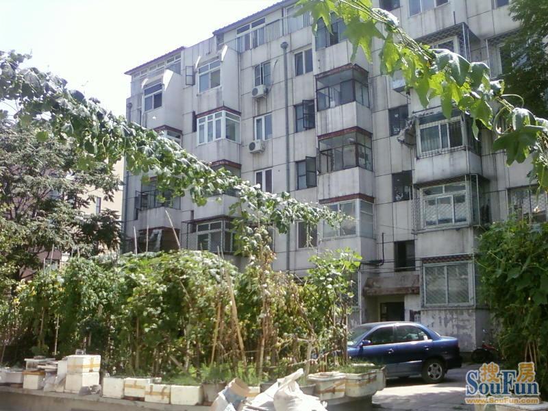 挂甲屯2室1厅1卫南北朝向6500.00元/月出租