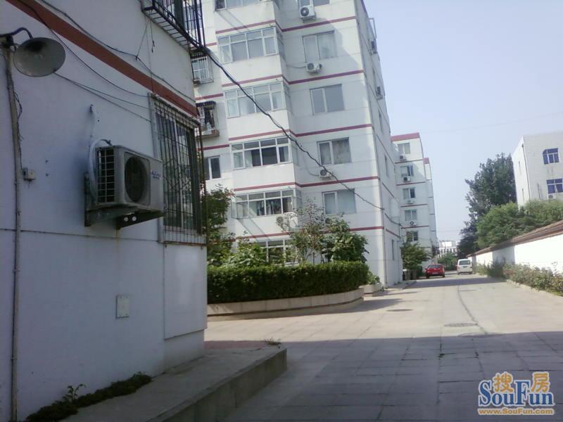 东旭园2室1厅1卫南北朝向7300.00元/月出租