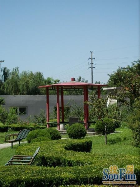 ������Էסլ¥�ܱ�