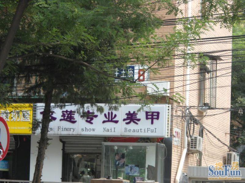 ���鶫������