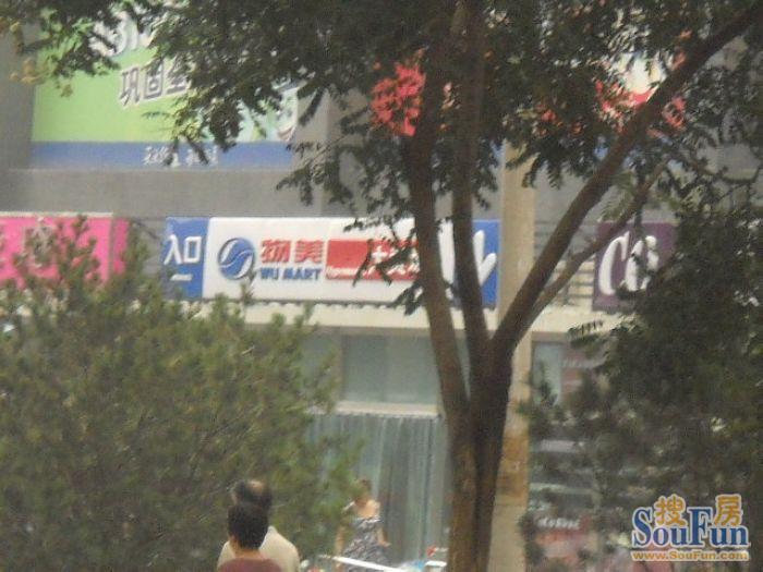 �徰԰����