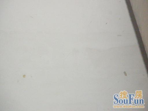 长江广场住宅1室1卫南朝向1000.00元/月出租