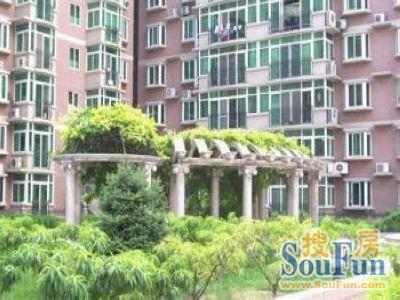 ֪��·59��Ժ�̻�
