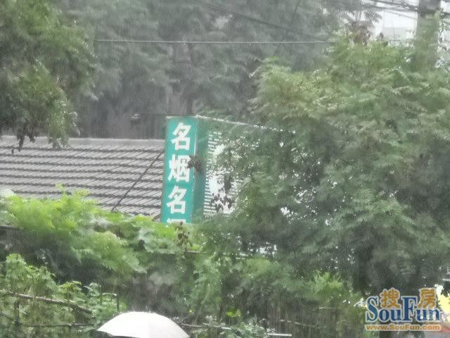 ��ʲ��С���̾Ƶ�