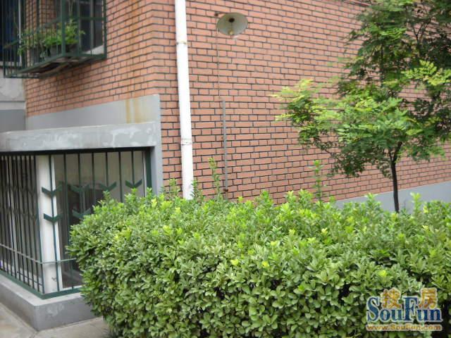 张郭庄小区2室1厅1卫南北朝向3500.00元/月出租