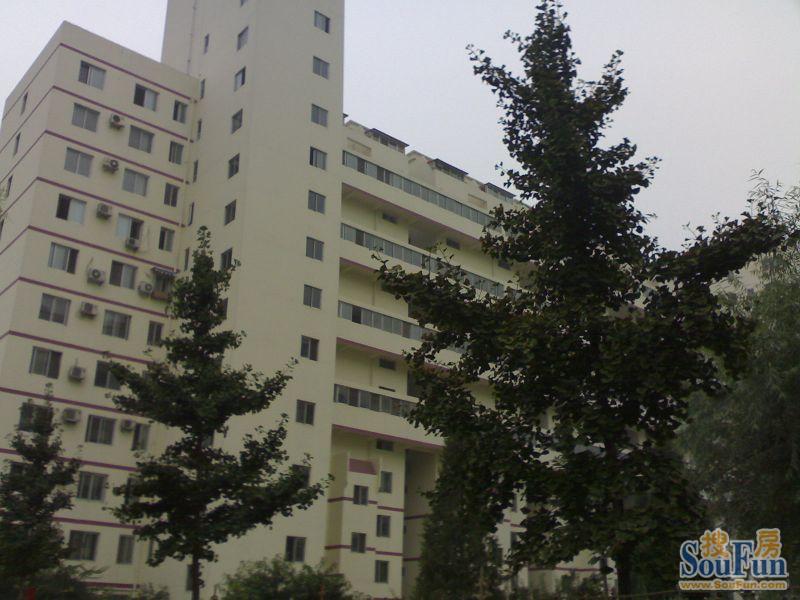 草桥欣园三区4室1厅1卫南北朝向7300.00元/月出租