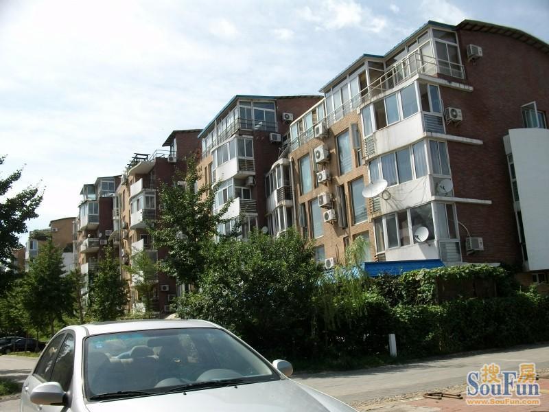 整租·后沙峪·双裕花园·4室