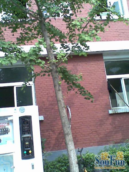 整租·和平里·化工大院·2室