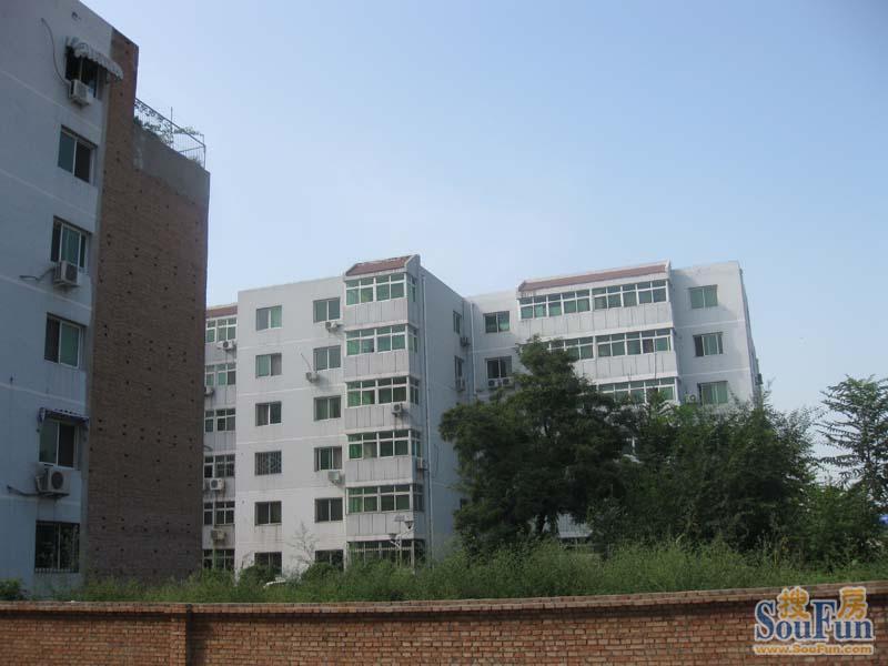 整租·兴房苑小区 1室1厅 南/北