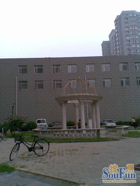 ��Է�����껪�ڽֵ�