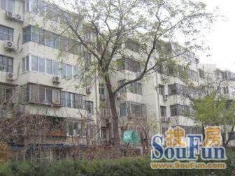 整租·恩济庄82号院 2室1厅 南/北