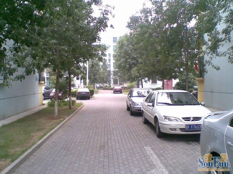 ��ܰԷ�⾰ͼ