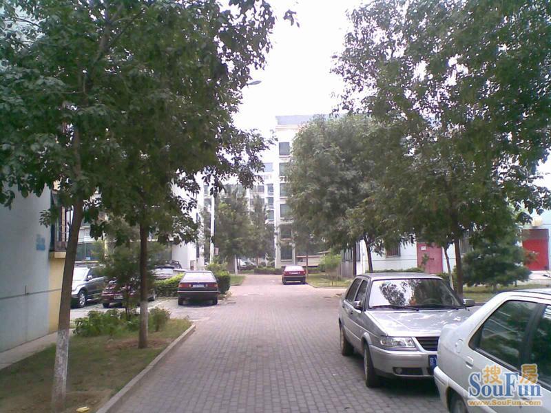��ܰԷ�⾰ͼ